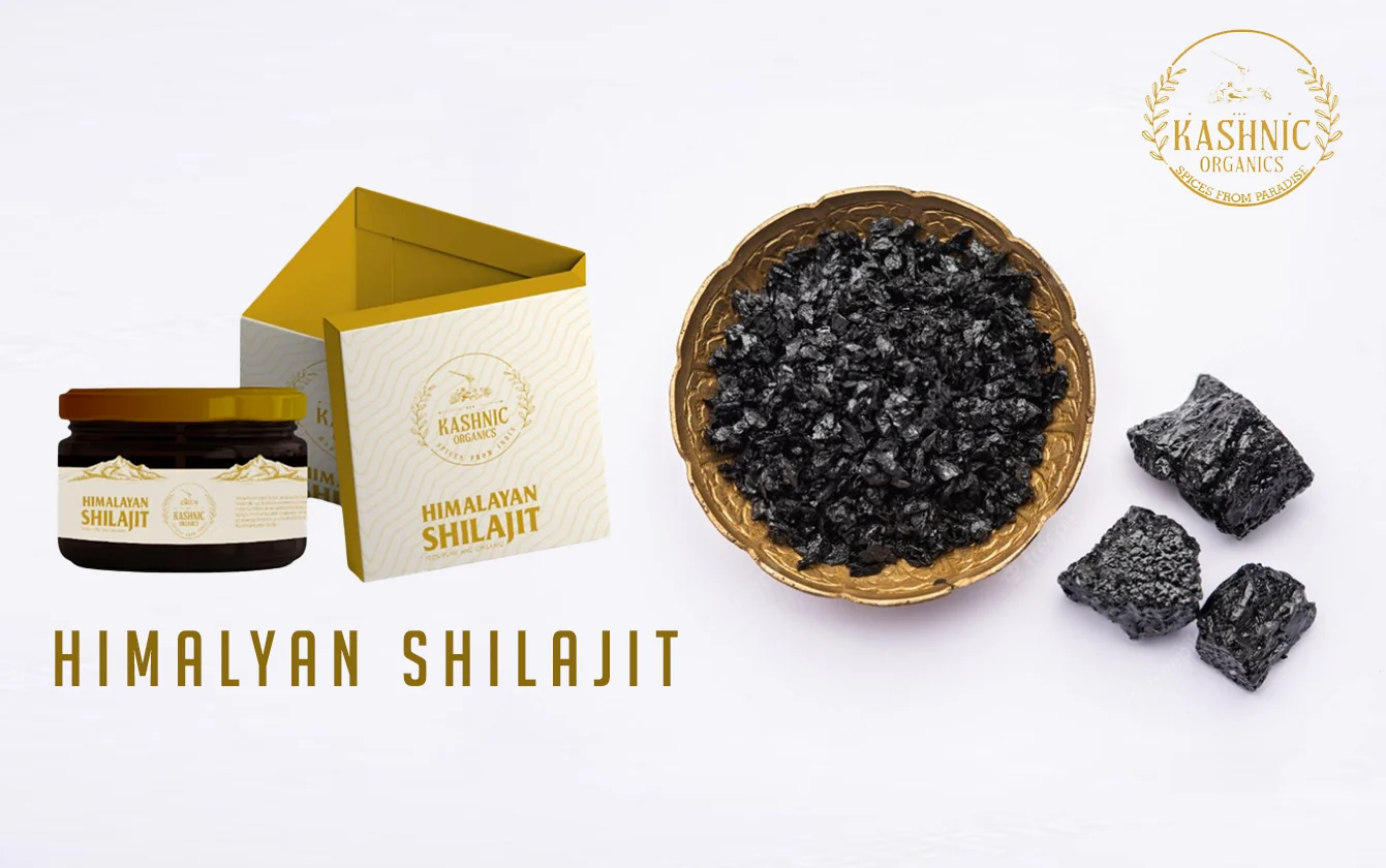 Kashnic Himalayan Shilajit